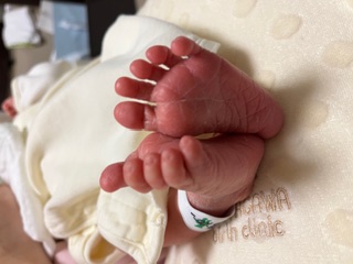 生まれたばかりの赤ちゃん