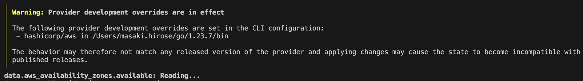 build した Provider を使った場合の warning
