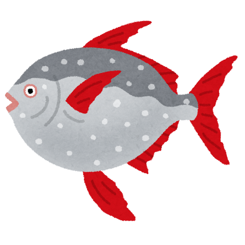 松倉一光(Hikaru Matsukura)のプロフィール画像