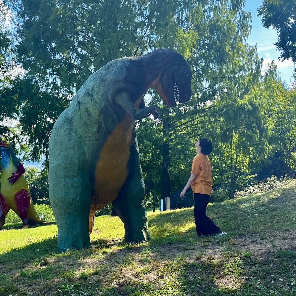 S.N.さんのプロフィール画像