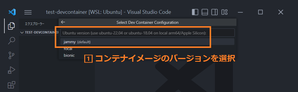 Select Container image version
